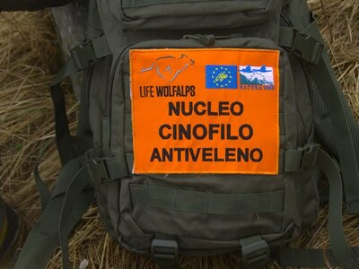 Nucleo Cinofilo Antiveleno | © B. Castelli